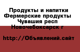 Продукты и напитки Фермерские продукты. Чувашия респ.,Новочебоксарск г.